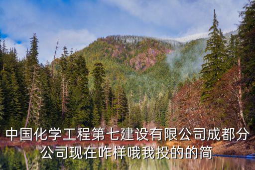 中國化學工程第七建設有限公司成都分公司現在咋樣哦我投的的簡
