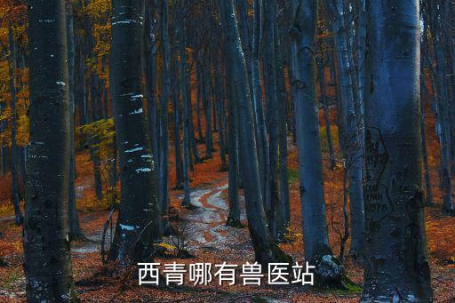 西青哪有獸醫(yī)站
