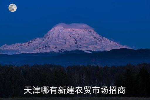 天津哪有新建農貿市場招商