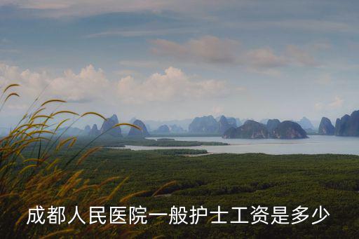 成都人民醫院一般護士工資是多少