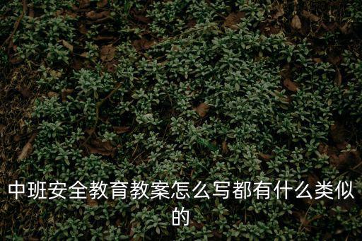 中班安全教育教案怎么寫(xiě)都有什么類(lèi)似的
