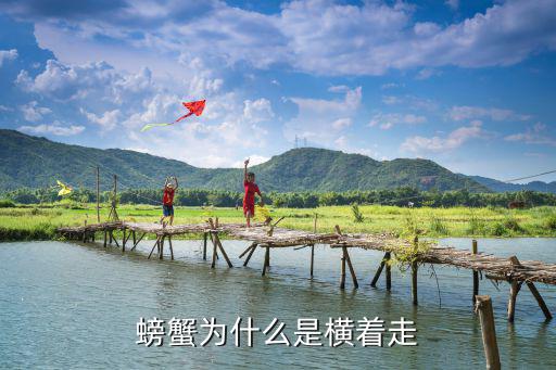 螃蟹為什么是橫著走