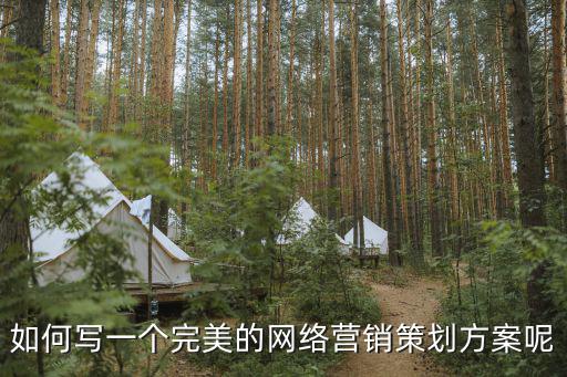 網絡營銷策劃方案，如何寫一個完美的網絡營銷策劃方案呢