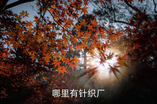 哪里有針織廠