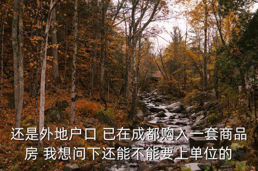 還是外地戶口 已在成都購入一套商品房 我想問下還能不能要上單位的