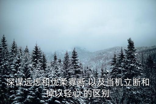 深謀遠慮和優(yōu)柔寡斷 以及當機立斷和掉以輕心 的區(qū)別