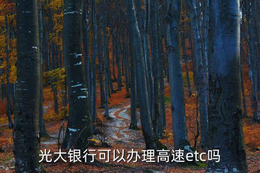 天津市光大銀行辦理etc，光大銀行可以辦理高速etc嗎