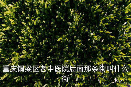 重慶銅梁區老中醫院后面那條街叫什么街
