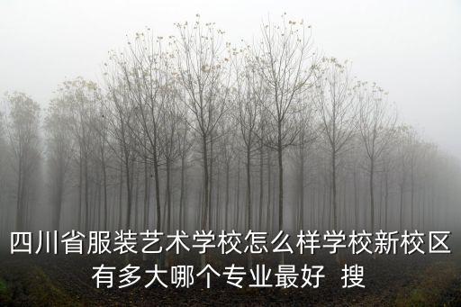 四川省服裝藝術學校怎么樣學校新校區有多大哪個專業最好  搜