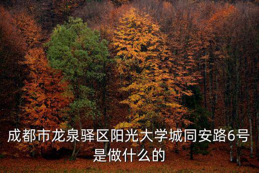 成都市龍泉驛區(qū)陽(yáng)光大學(xué)城同安路6號(hào)是做什么的