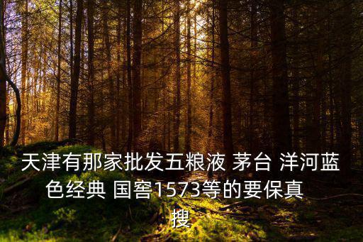 天津市云騫商貿有限公司，天津有那家批發五糧液 茅臺 洋河藍色經典 國窖1573等的要保真  搜