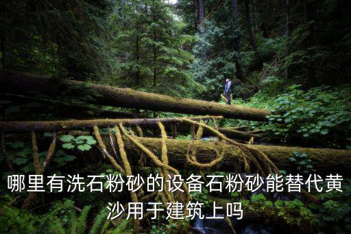 哪里有洗石粉砂的設(shè)備石粉砂能替代黃沙用于建筑上嗎