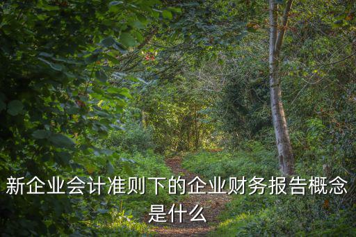 企業(yè)財務報告，財務分析報告怎么寫啊最好是有范文的急急急
