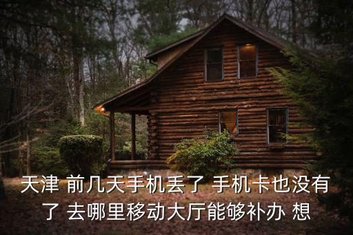 天津 前幾天手機丟了 手機卡也沒有了 去哪里移動大廳能夠補辦 想