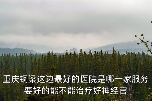 重慶銅梁這邊最好的醫院是哪一家服務要好的能不能治療好神經官