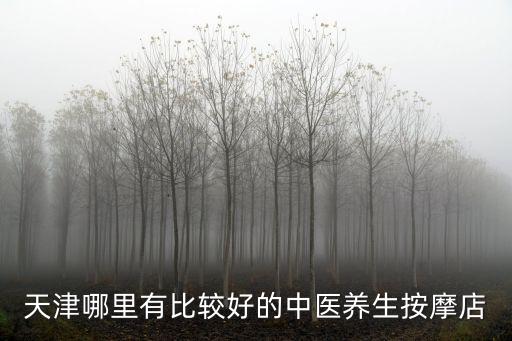 天津哪里有比較好的中醫(yī)養(yǎng)生按摩店