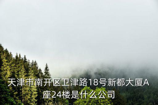 天津市南開區衛津路18號新都大廈A座24樓是什么公司
