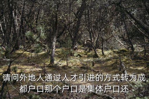 請問外地人通過人才引進的方式轉為成都戶口那個戶口是集體戶口還