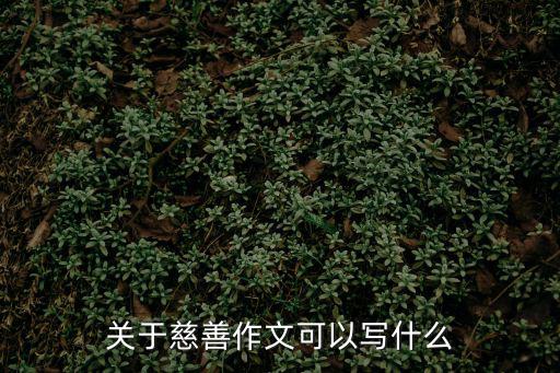 關于慈善作文可以寫什么