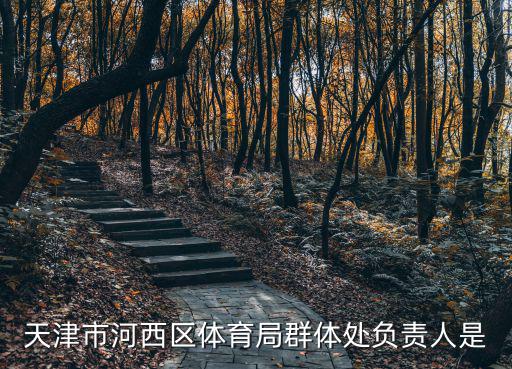 天津市河西區體育局群體處負責人是