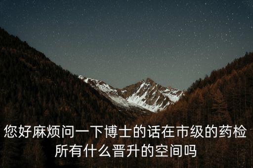 您好麻煩問一下博士的話在市級的藥檢所有什么晉升的空間嗎