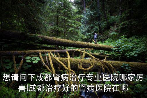 想請問下成都腎病治療專業(yè)醫(yī)院哪家厲害l成都治療好的腎病醫(yī)院在哪