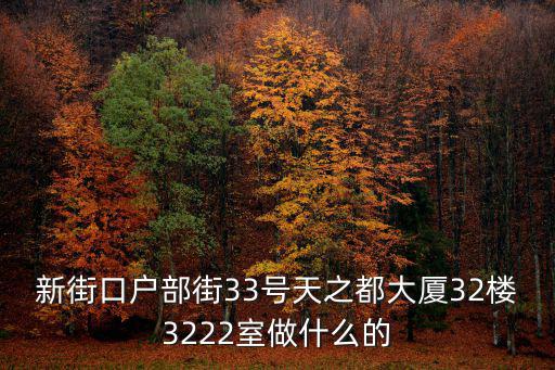 新街口戶部街33號天之都大廈32樓3222室做什么的