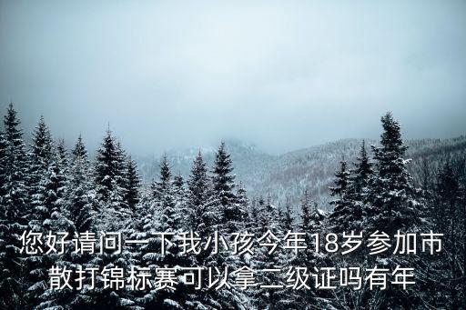 2017天津市散打錦標賽，2013年全國散打錦標賽什么時間