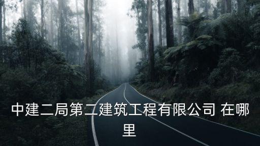 中建二局第二建筑工程有限公司 在哪里
