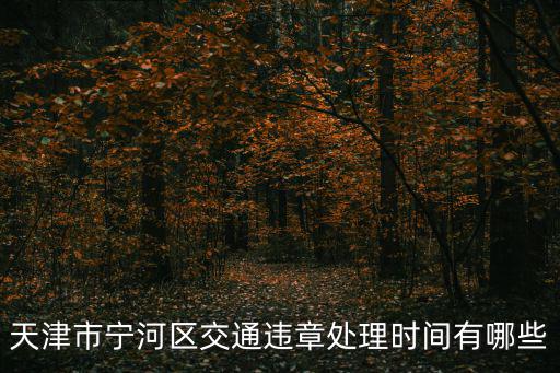 天津市寧河區(qū)交通違章處理時間有哪些
