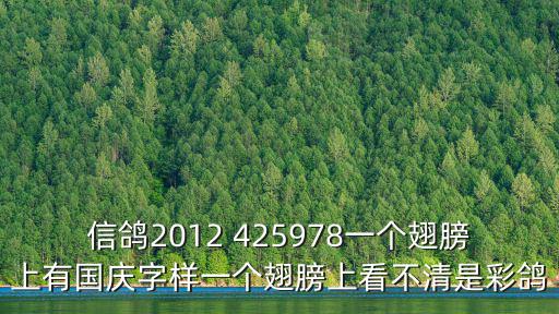 信鴿2012 425978一個翅膀上有國慶字樣一個翅膀上看不清是彩鴿