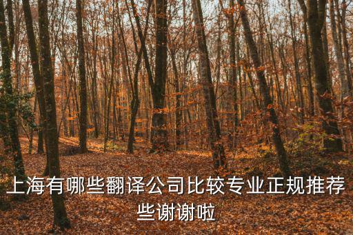上海有哪些翻譯公司比較專業(yè)正規(guī)推薦些謝謝啦