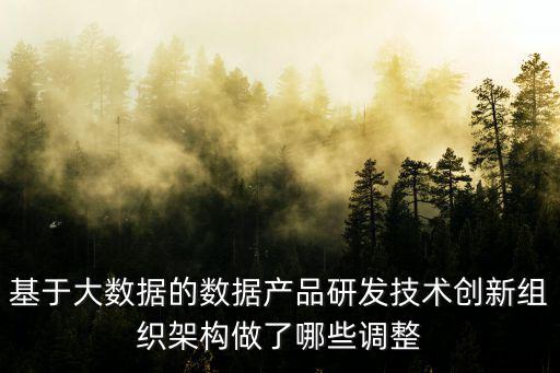 上海大數(shù)據(jù)中心組織架構(gòu)，基于大數(shù)據(jù)的數(shù)據(jù)產(chǎn)品研發(fā)技術(shù)創(chuàng)新組織架構(gòu)做了哪些調(diào)整