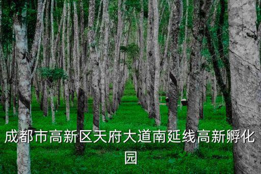 成都市高新區(qū)天府大道南延線高新孵化園