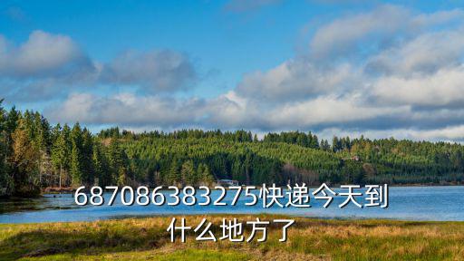 687086383275快遞今天到什么地方了