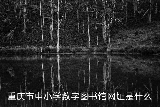 重慶市中小學(xué)數(shù)字圖書館網(wǎng)址是什么