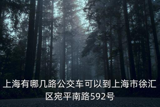 上海有哪幾路公交車可以到上海市徐匯區宛平南路592號