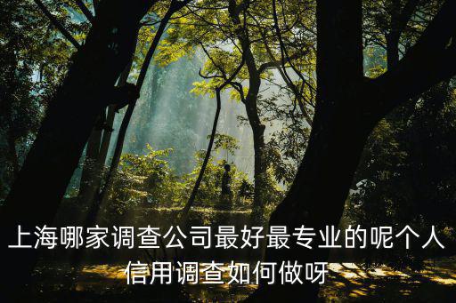 上海調查公司哪家好，上海最好的調查機構是哪里