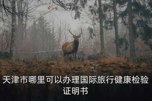 天津市哪里可以辦理國際旅行健康檢驗證明書