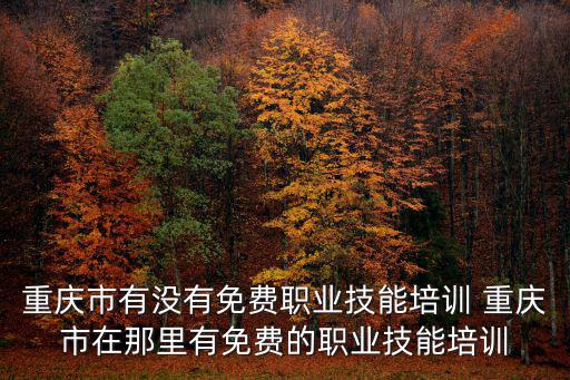 重慶市有沒有免費職業技能培訓 重慶市在那里有免費的職業技能培訓