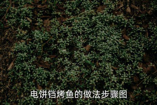 電餅鐺烤魚的做法步驟圖