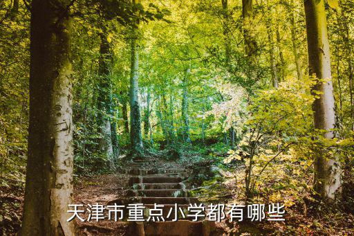 天津市重點(diǎn)小學(xué)都有哪些