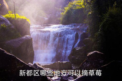 新都區哪些地方可以摘草莓