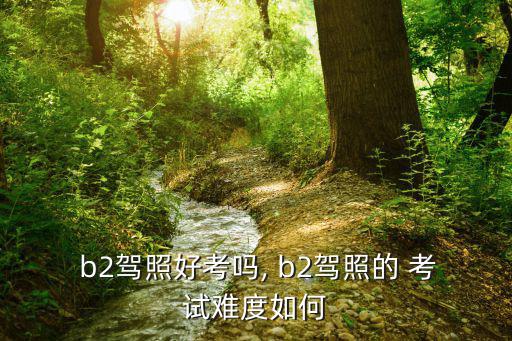  b2駕照好考嗎, b2駕照的 考試難度如何