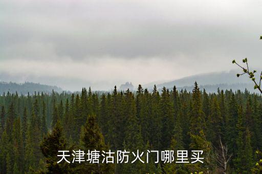 天津塘沽防火門(mén)哪里買(mǎi)