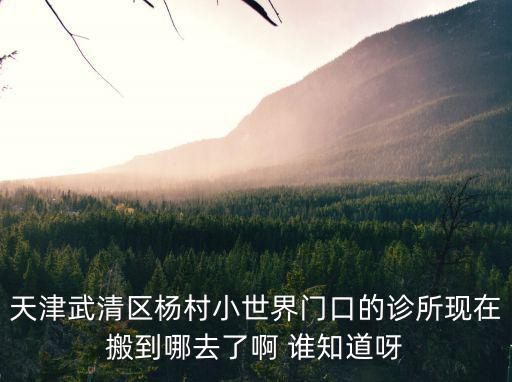 天津武清區楊村小世界門口的診所現在搬到哪去了啊 誰知道呀