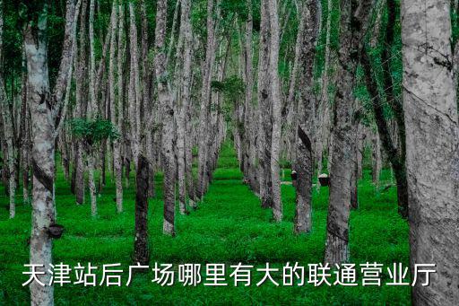 天津站后廣場哪里有大的聯(lián)通營業(yè)廳