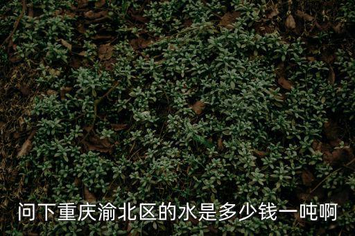 問下重慶渝北區的水是多少錢一噸啊