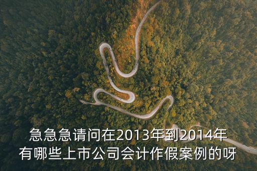 急急急請問在2013年到2014年有哪些上市公司會計作假案例的呀