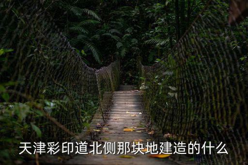 天津彩印道北側(cè)那塊地建造的什么